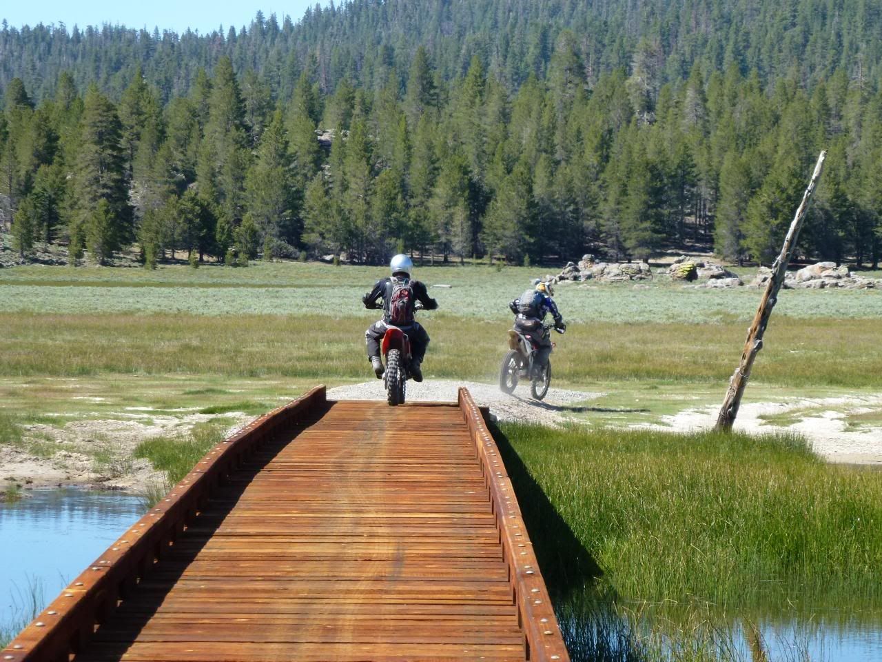 4th of July at Kennedy Meadows Cafe Husky